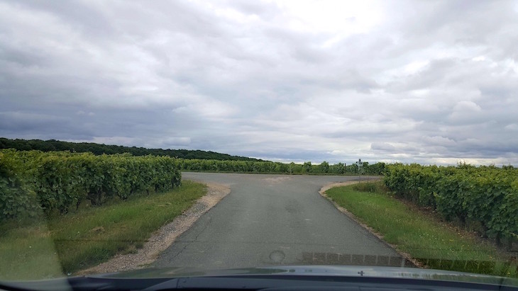 Encruzilhada nas vinhas - Na estrada no Vale do Loire - França © Viaje Comigo