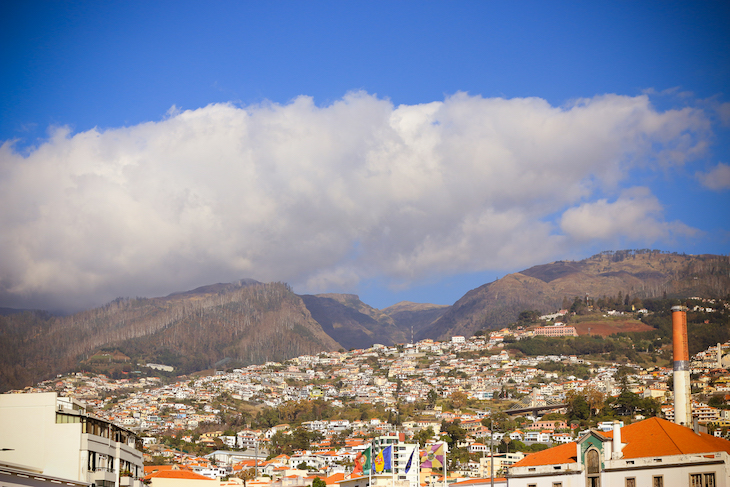 Funchal- Madeira © Débora Pinto