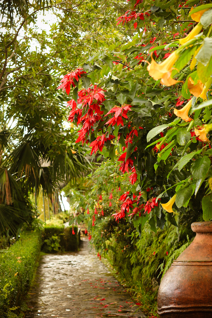 Jardim Tropical Monte Palace- Madeira © Débora Pinto