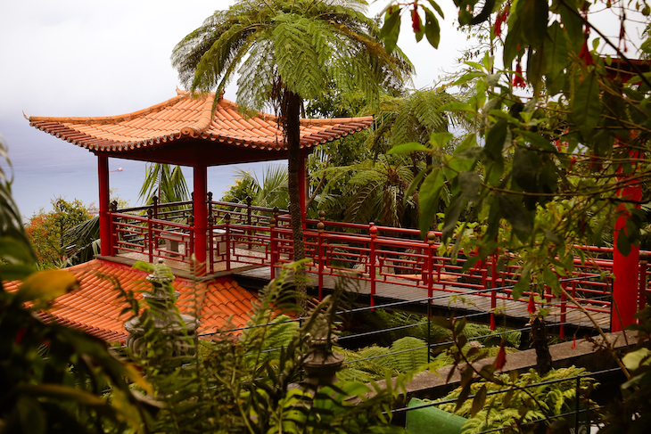 Jardim Tropical Monte Palace- Madeira © Débora Pinto