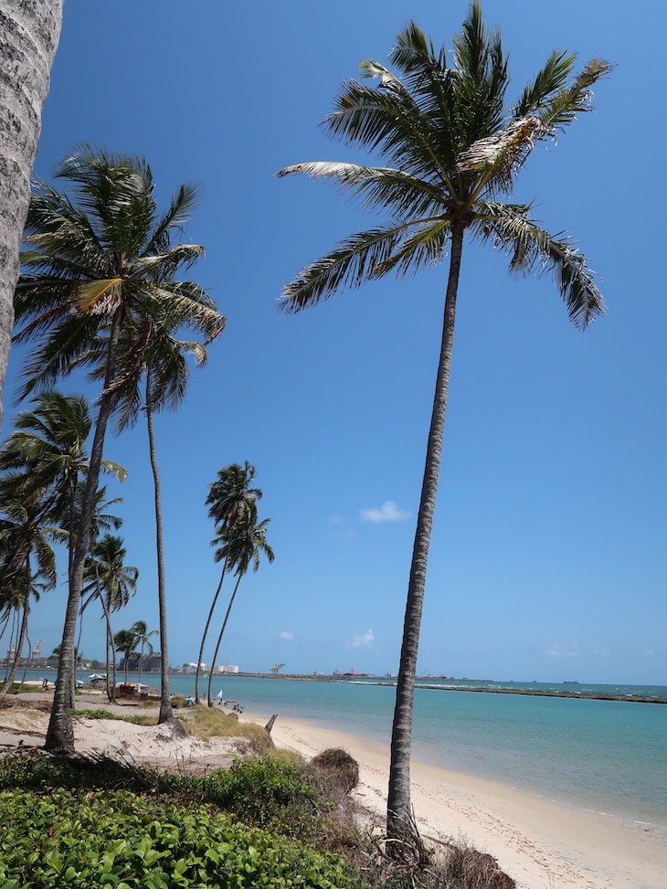 Passeio de buggy em Porto de Galinhas - Brasil © Viaje Comigo