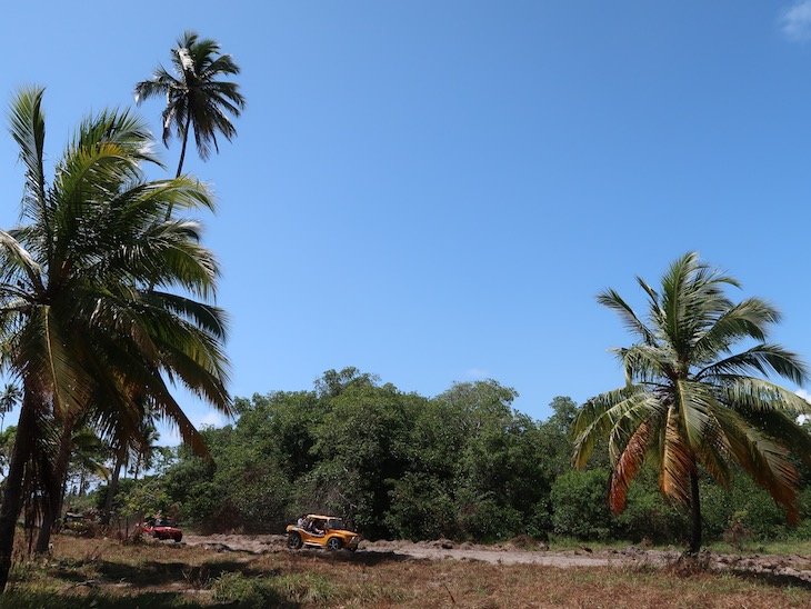 Passeio de buggy em Porto de Galinhas - Brasil © Viaje Comigo