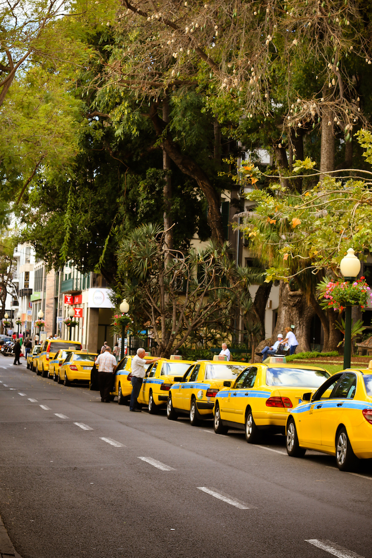 Praça de Táxis - Funchal - Madeira © Débora Pinto