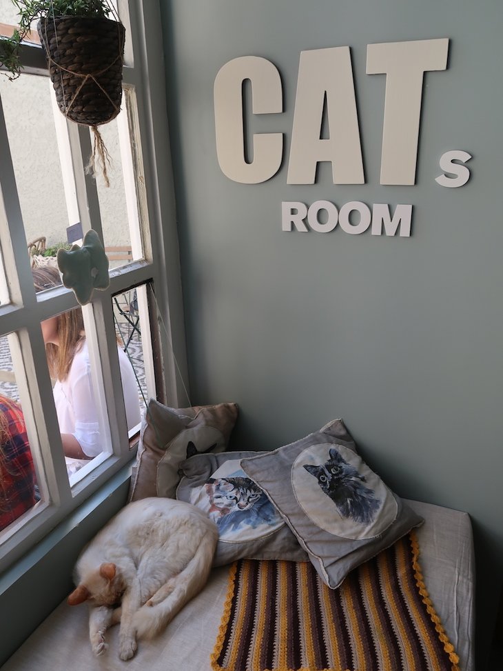 Cat's Room - Porto dos Gatos © Viaje Comigo