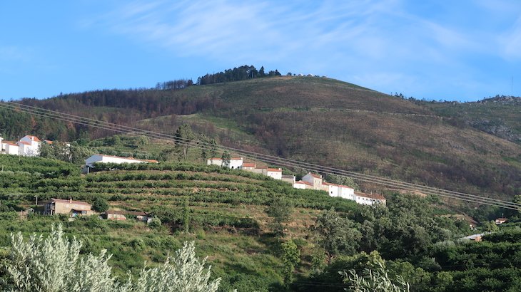 Natura Glamping - Portugal © Viaje Comigo