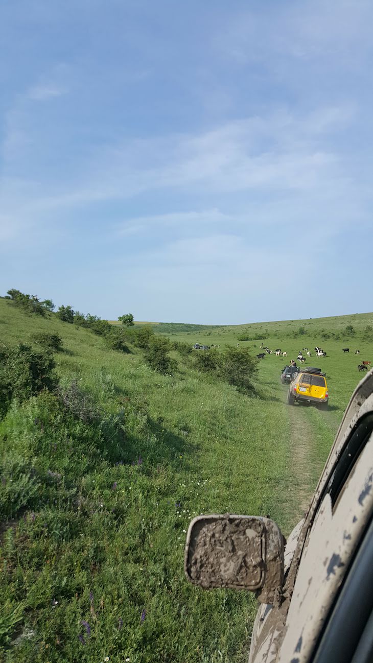 Passeio com Dobrogea Off Road - Roménia © Viaje Comigo