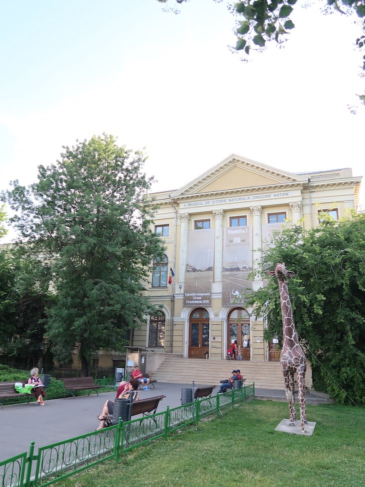Museu de História Natural - Grigore Antipa - Bucareste - Roménia © Viaje Comigo