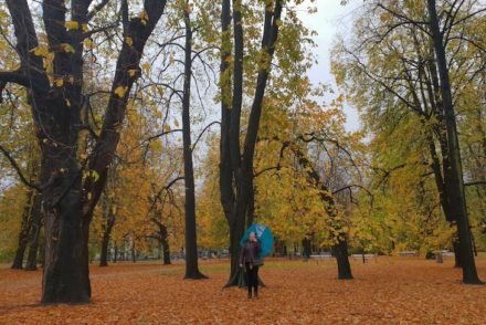 Outono em Varsóvia - Polónia © Viaje Comigo