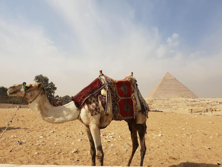 Pirâmides Gizé - Egito © Viaje Comigo