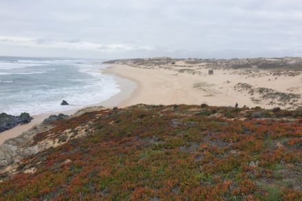 Praia do Malhão - Alentejo - Portugal © Viaje Comigo