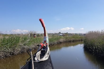 Passeios na BioRia - Estarreja- Portugal © Viaje Comigo