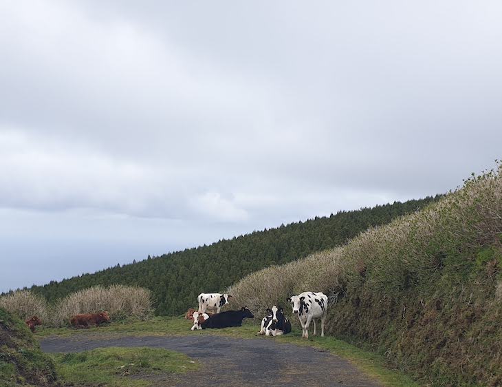 Ilha do Faial - Açores © Viaje Comigo