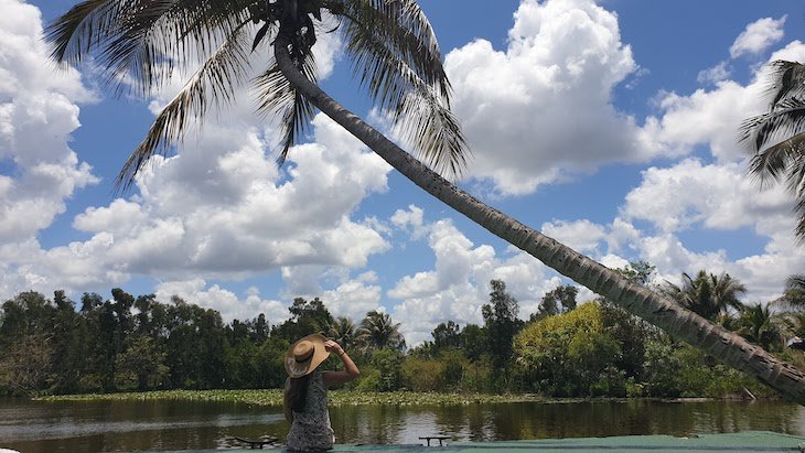 Ciénaga de Zapata - Cuba © Viaje Comigo