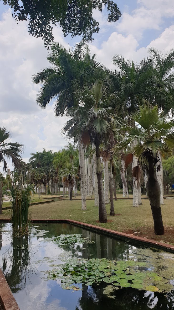 Jardim Botânico Nacional de Cuba, Havana © Viaje Comigo