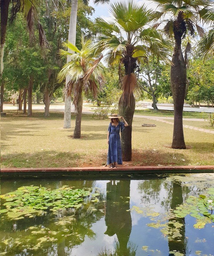 Jardim Botânico Nacional de Cuba, Havana © Viaje Comigo