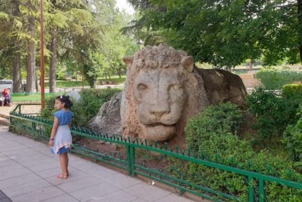 Leão em Ifrane - Marrocos © Viaje Comigo