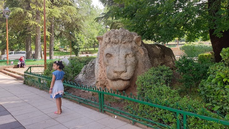 Leão em Ifrane - Marrocos © Viaje Comigo