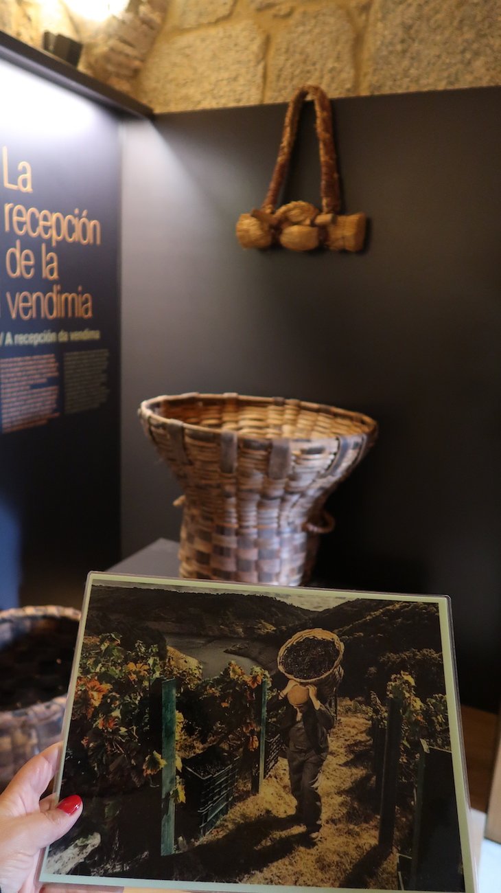 Museu da Ciência do Vinho de Salvaterra de Miño - Galiza - Espanha © Viaje Comigo