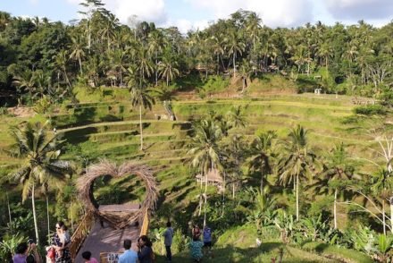 Arrozais de Ubud - Bali - Indonésia © Viaje Comigo