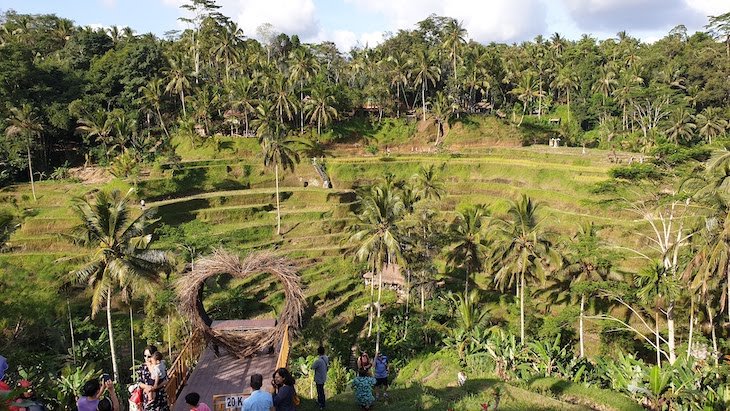 Arrozais de Ubud - Bali - Indonésia © Viaje Comigo