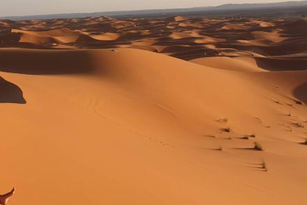 Susana Ribeiro nas dunas, deserto de Marrocos © Viaje Comigo