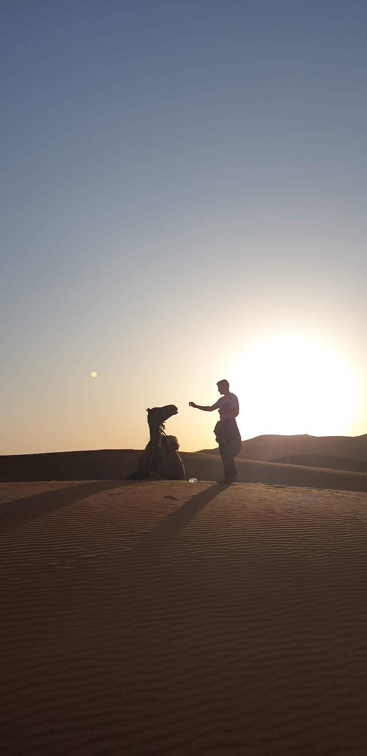 Dromedário nas dunas de Erg Chebbi, Merzouga - Deserto Saara, Marrocos © Viaje Comigo