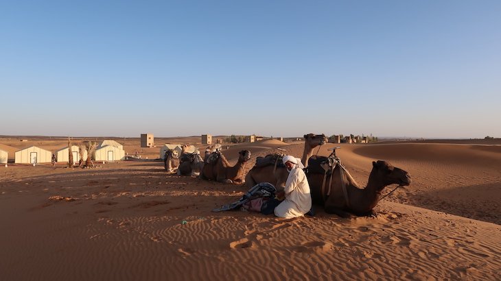 Dromedários nas dunas de Erg Chebbi, Merzouga - Deserto Saara, Marrocos © Viaje Comigo