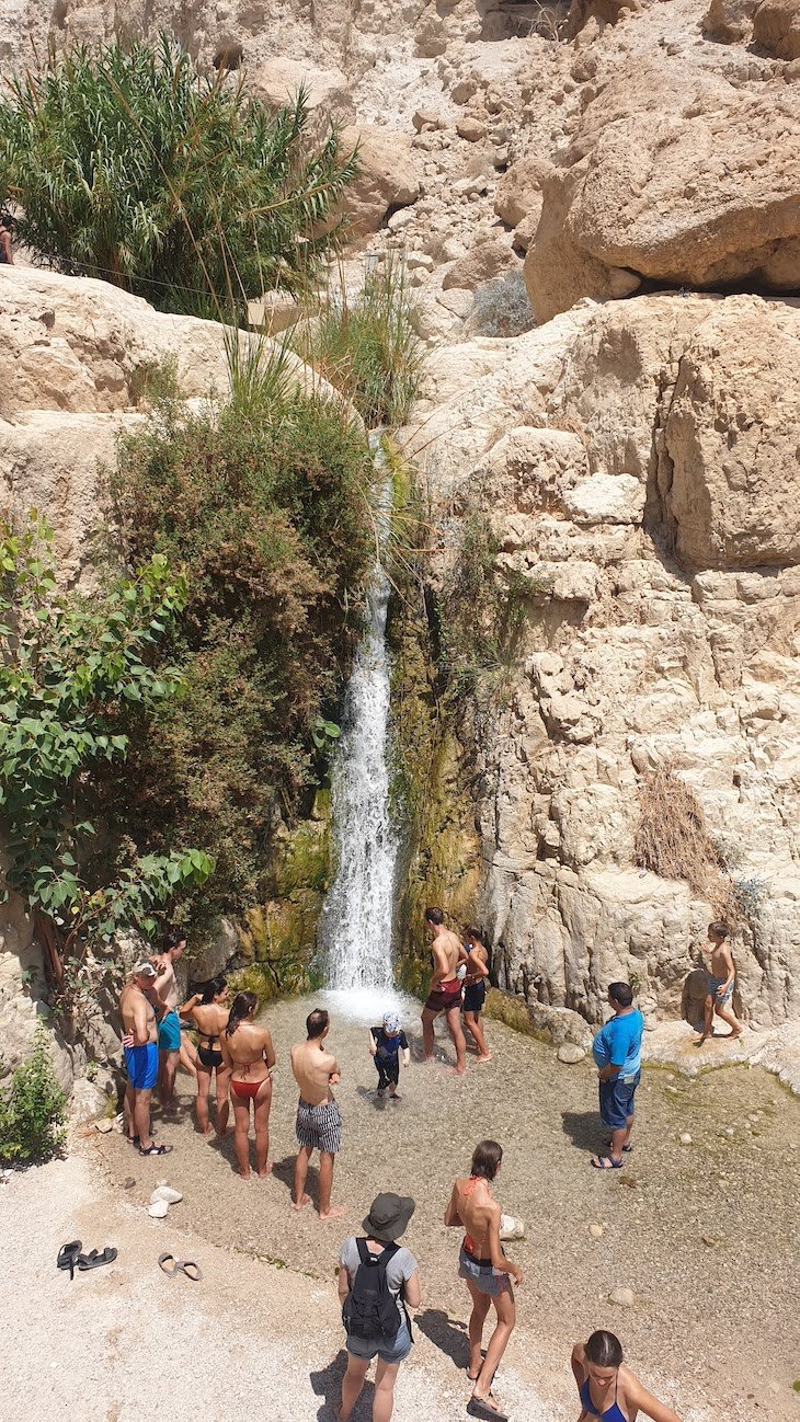 Reserva Natural de Ein Gedi - Israel © Viaje Comigo