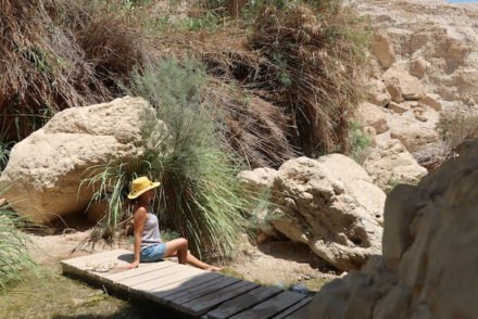 Reserva Natural de Ein Gedi - Israel © Viaje Comigo