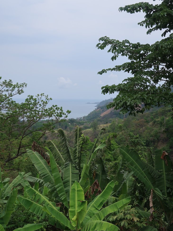 Rota do Cacau - Roça Generosa - São Tomé © Viaje Comigo