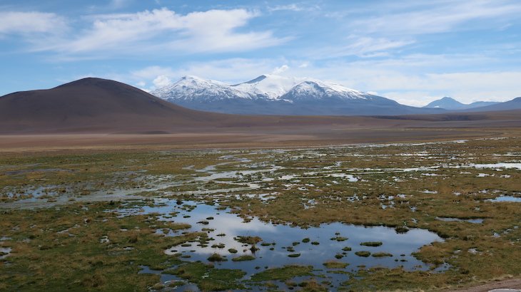 Vista no Vado del Río Putana - Tour do Geyser el Tatio - Atacama - Chile © Viaje Comigo