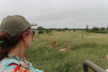 Tintswalo Safari Lodge - África do Sul © Viaje Comigo