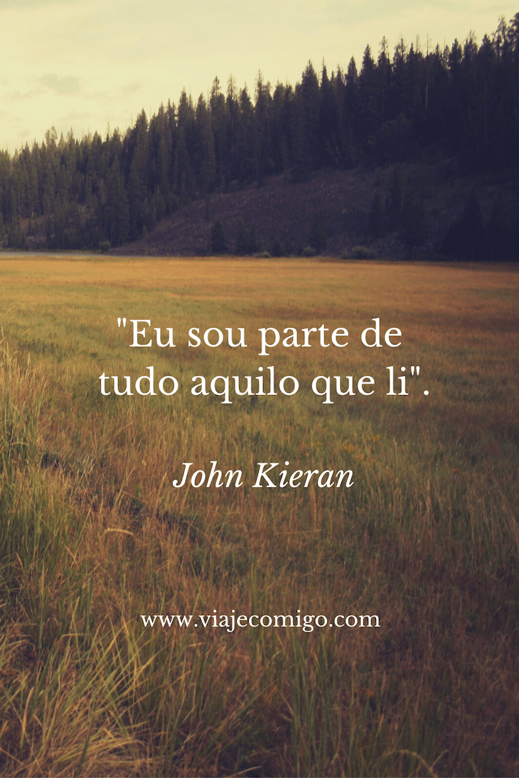 John Kieran - Viaje Comigo ©Canva