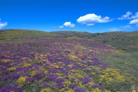 Planalto da Mourela, Montalegre, Portugal ©DR