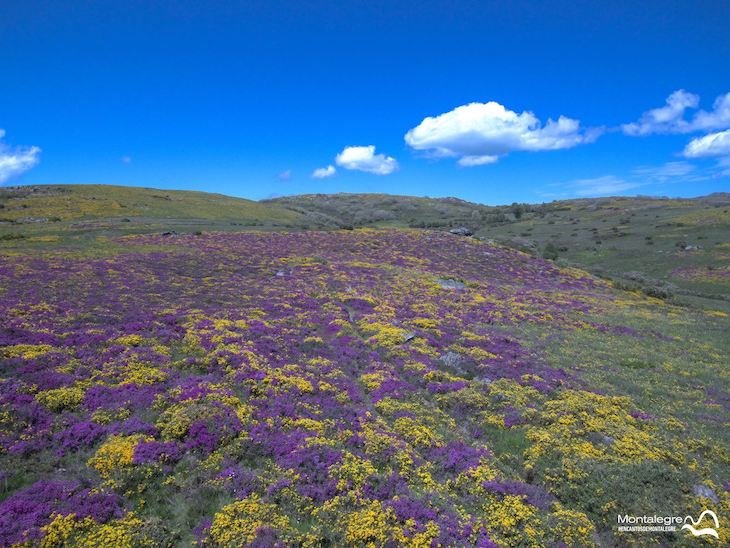 Planalto da Mourela, Montalegre, Portugal ©DR