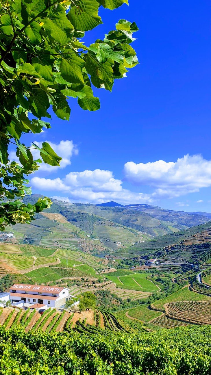 Quinta da Côrte - Valença do Douro - Portugal © Viaje Comigo