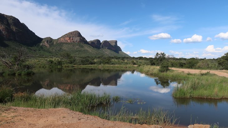 Entabeni Game Reserve - Limpopo - África do Sul © Viaje Comigo
