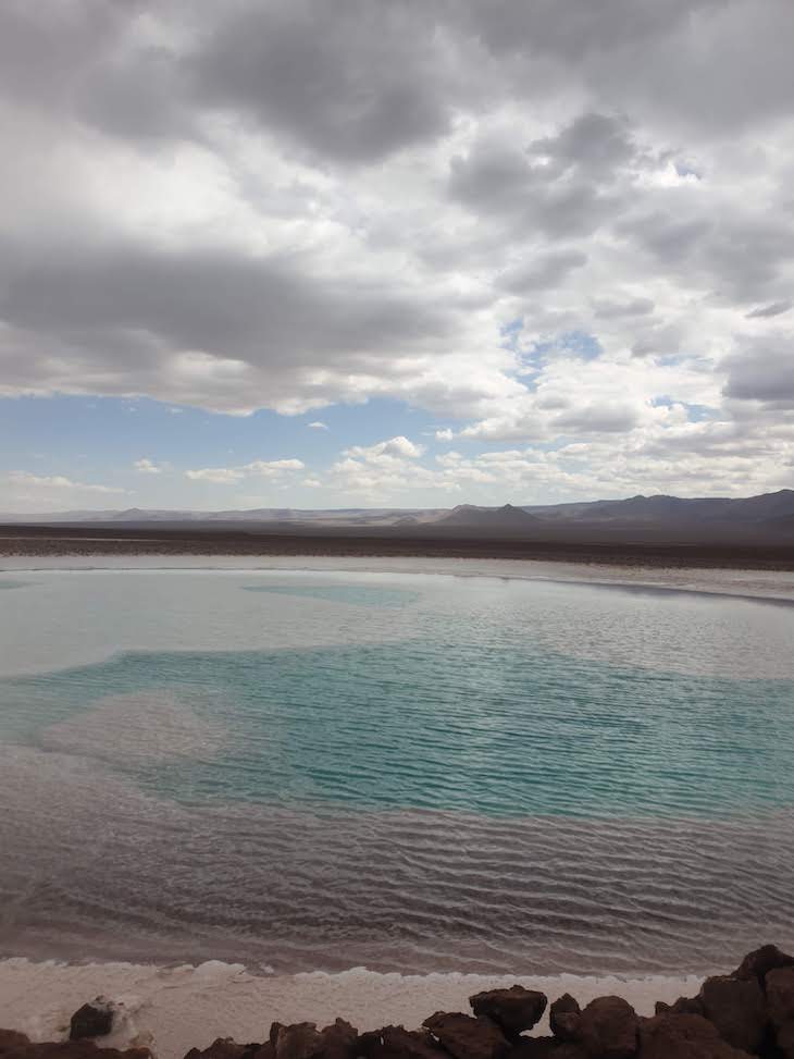 Lagunas Escondidas de Baltinache - Deserto do Atacama - Chile © Viaje Comigo