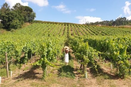 Susana Ribeiro na Quinta de Lourosa - Lousada © Viaje Comigo