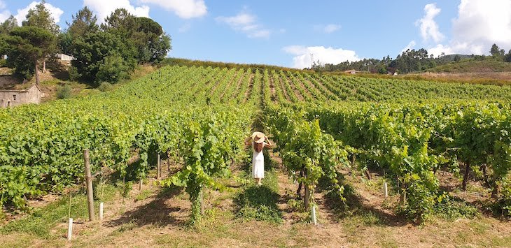 Susana Ribeiro na Quinta de Lourosa - Lousada © Viaje Comigo