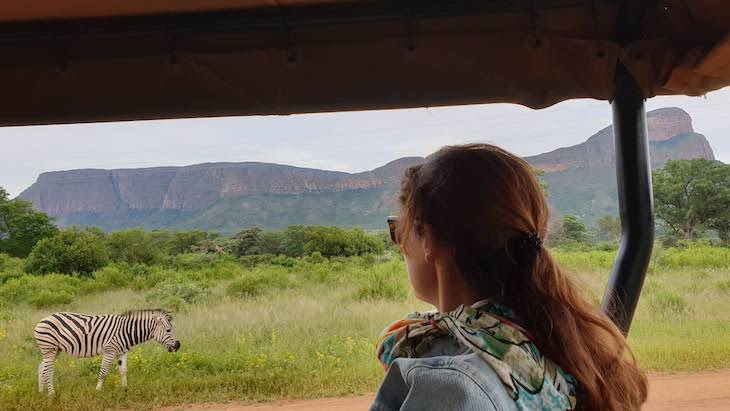 Susana Ribeiro - Entabeni Game Reserve - Limpopo - África do Sul © Viaje Comigo