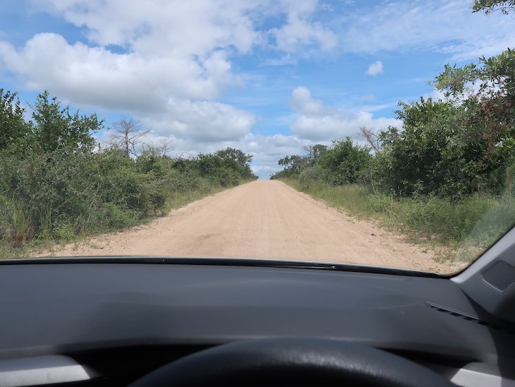 A conduzir o carro no Kruger National Park- África do Sul © Viaje Comigo