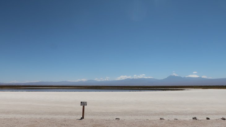 Laguna Baltinache - Tour Laguna Cejar - Atacama - Chile © Viaje Comigo