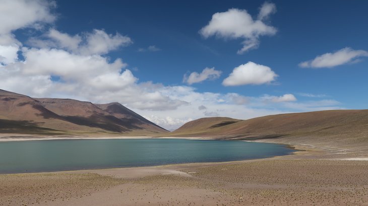 Laguna Miscanti - Tour Lagunas Altiplânicas e Piedras Rojas - Atacama - Chile © Viaje Comigo