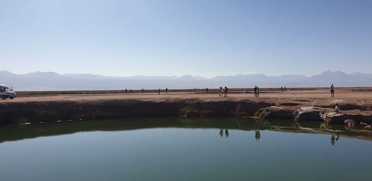 Ojos de Salar - Tour Laguna Cejar - Atacama - Chile © Viaje Comigo