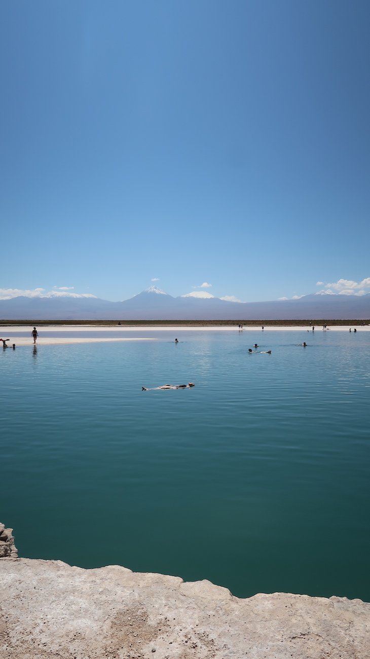 Tour Laguna Cejar - Atacama - Chile © Viaje Comigo