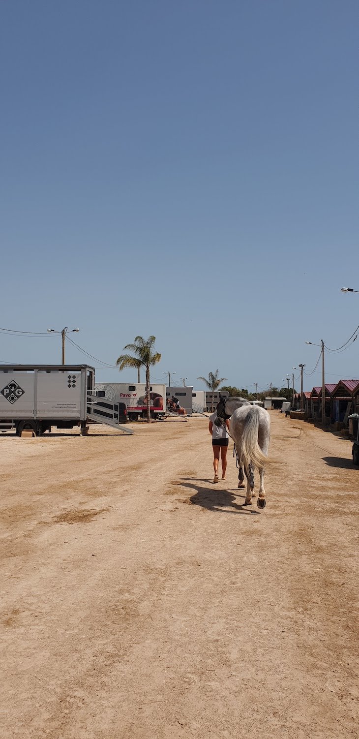 Centro Equestre/ Centro Hípico de Vilamoura - Algarve © Viaje Comigo