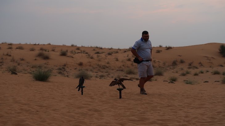 Espetáculo com falcões - Dubai Desert Conservation Reserve - Dubai - Emirados Árabes Unidos © Viaje Comigo