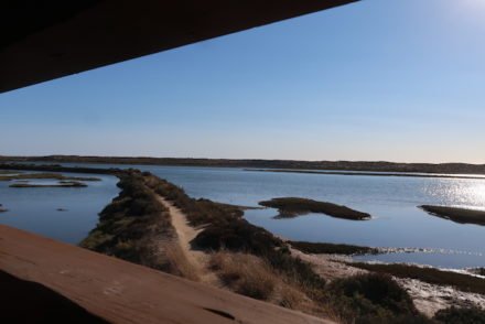 Parque Natural da Ria Formosa - Quinta do Lago - Algarve - Portugal © Viaje Comigo