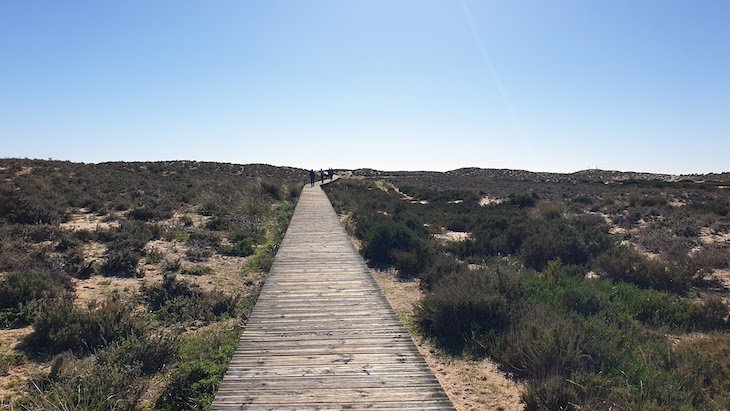 Passadiço para a praia da Ilha da Culatra - Algarve - Portugal © Viaje Comigo